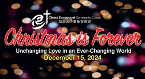 Read more about the article Christmas Cantata